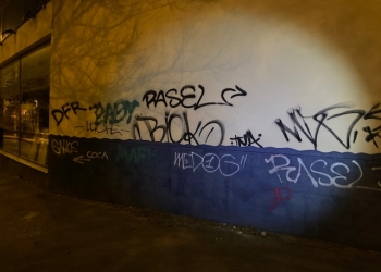 Policía Local y Nacional detienen a 5 jóvenes como presuntos autores de varios graffitis