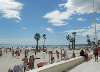 Este próximo sábado comienza el servicio de vigilancia, salvamento y socorrismo en Torrevieja