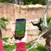 Terra Natura Benidorm acelera su transformación digital con la creación de una nueva app