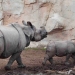 Terra Natura Benidorm homenajea la figura materna en los animales con motivo del Día de la Madre