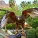 Dos halcones de Harris y un milano negro se incorporan a Terra Natura Benidorm