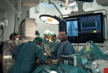 Científicos del CSIC desarrollan nuevos productos desinfectantes para hospitales