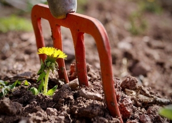 10 ideas para ser más resiliente