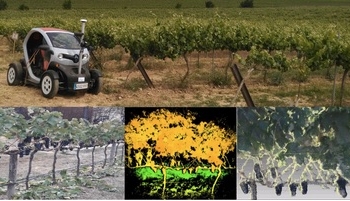 Sistemas multi-robot para realizar operaciones agrícolas de precisión y automatizadas