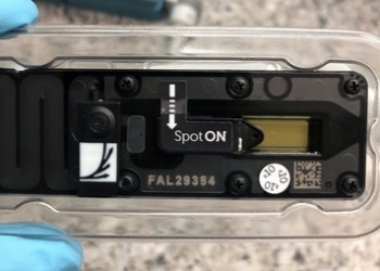 El INIA-CSIC evalúa una técnica de secuenciación rápida para la detección de variantes del coronavirus