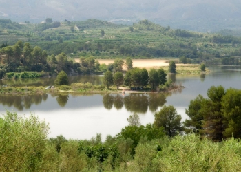 La Diputación destina 380.000 euros al control de plagas de moscas y mosquitos en 123 municipios