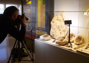 Investigadores de un proyecto sobre la flora de hace 66 millones de años visitan el MUPE