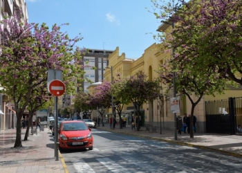 Elda ultima un proyecto para la reparación de alcorques y el replantado de árboles