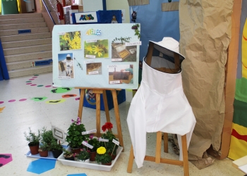 Medio Ambiente de Novelda inicia el proyecto La Colmena Viajera
