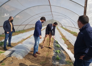 Orihuela apoya al C.D. San José Obrero en sus proyectos ecológicos y medioambientales