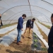 Orihuela apoya al C.D. San José Obrero en sus proyectos ecológicos y medioambientales
