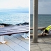 Comienzan los trabajos de conservación de los bancos del paseo Juan Aparicio de Torrevieja