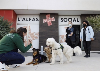 ‘Eduka-dogs’ se asienta como un programa de éxito