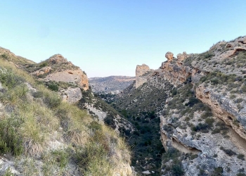 El Ayuntamiento subvencionará las actividades medioambientales