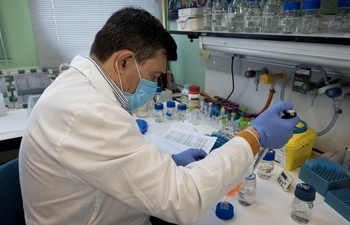 El CSIC diseña un test serológico que diferencia a las personas vacunadas de las que han padecido la covid-19