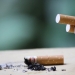 El Día Mundial Sin Tabaco recuerda los efectos perniciosos del fumar sobre la salud