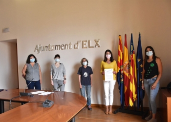 Elche presenta un plan pionero de control y gestión de colonias felinas