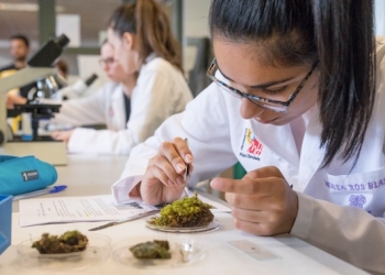 Un máster oficial para cada perfil profesional