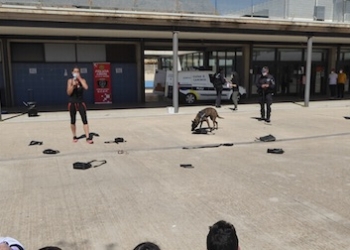 Concienciación y Prevención de Estupefacientes en el Instituto