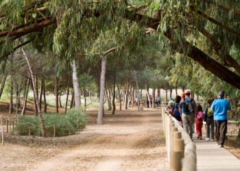 Vuelven las Ecorutas