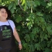 Turismo presenta las III Jornadas Gastronómicas de la Breva de Albatera