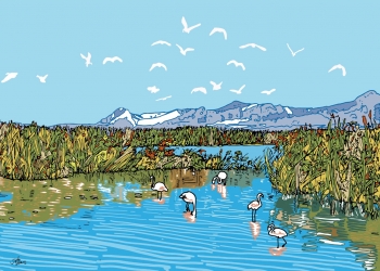 Crevillent, alfombras, juncos y cigüeñas