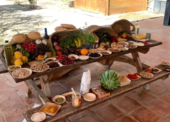 El Centro Ocupacional Virgen de los Desamparados participa en el taller “Los huertos históricos y Crevillent”