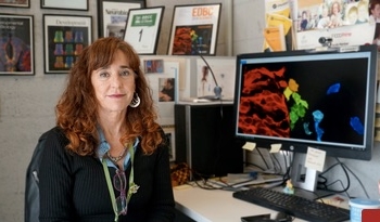 La investigadora del IBMB-CSIC Elisa Martí, nuevo miembro de la EMBO