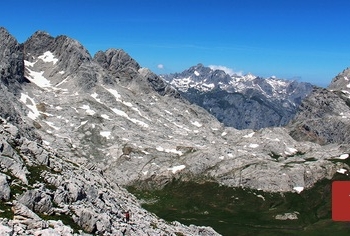 El nuevo Instituto Mixto de Investigación en Biodiversidad estudiará el impacto del ser humano en la biodiversidad