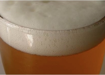 ¿Qué tienen en común la niebla y la cerveza? Un libro del CSIC explica los coloides presentes en nuestro día a día