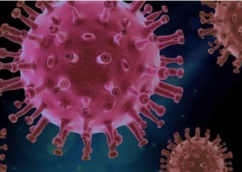 Un proyecto del CSIC identifica moléculas que frenan la entrada del coronavirus en las células