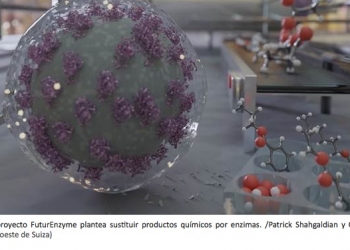 Utilizan enzimas microbianas para producir detergentes, textiles y cosméticos más sostenibles