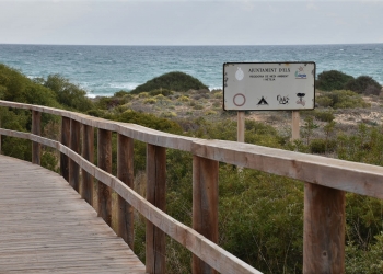 El Ayuntamiento y Costas mejoran los accesos a las playas de Elche con dos nuevas pasarelas