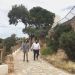 El sendero ‘Paseo Cabo Roig’ del litoral oriolano obtiene el galardón de ‘Sendero Azul’