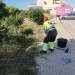 orihuela-trabajo-desbroce-junio-2021-1