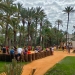 Los escolares oriolanos conocen su Palmeral