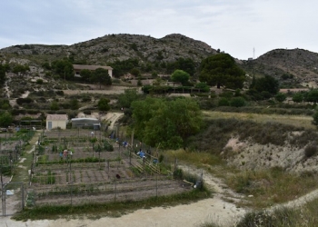 Petrer programa la ampliación de los huertos ecológicos de Ferrusa con 15 nuevas parcelas