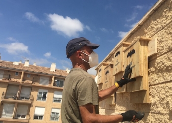 Petrer instala 33 cajas-refugio para murciélagos en parques y edificios públicos para combatir plagas