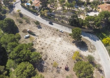Un Plan de Reforestación de las áreas urbanas que amplía y mejora las zonas verdes