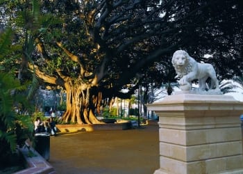 La avenida Ramón y Cajal abrirá el paso a las bicicletas