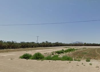 Las huertas de Crevillent necesitan vitalidad