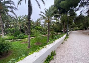 Comienza la gran transformación del Parc Nou crevillentino