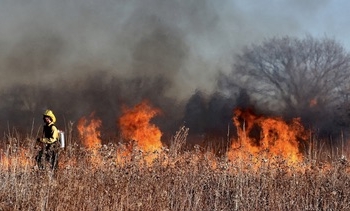 El cambio climático es uno de los principales factores de los grandes incendios forestales