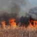 El cambio climático es uno de los principales factores de los grandes incendios forestales
