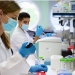 Ocho proyectos biomédicos del CSIC reciben 6,5 millones de euros del programa de ayudas CaixaResearch