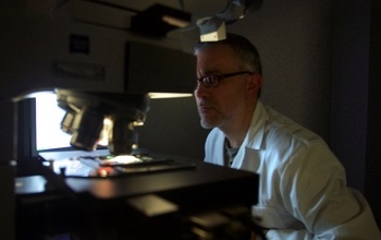 Tres centros del CSIC obtienen distinciones Severo Ochoa y María de Maeztu de excelencia