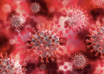 Un análisis de sangre permite seguir la evolución de la infección por coronavirus