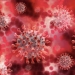 Un análisis de sangre permite seguir la evolución de la infección por coronavirus