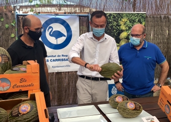 La Comunidad de Regantes de Carrizales espera obtener este año más de 350.000 kilos de melones