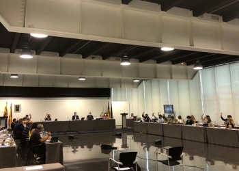 El Pleno aprueba por unanimidad exigir al Gobierno el arreglo del firme en varios tramos de la A7